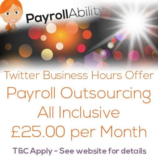 payrollability-offer-terms-and-conditions